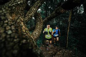 BIB: 
                            <button type="button" onclick="openModal(25693914)" class="btn btn-primary btn-sm float-right btn-popup" data-toggle="modal" data-target=".modal-high-quality">
                        <i class="fas fa-shopping-cart"></i> Add to Cart
                    </button>
                                            <button type="button" onclick="isThisMe(25693914, true)" class="btn btn-success btn-sm float-right btn-popup btn-isme hidden" data-toggle="tooltip" data-placement="bottom" title="นี่คือรูปของคุณใช่ไหม คลิกที่นี่เพื่อเอาเข้าอัลบั้ม">
                        <i class="fas fa-plus"></i> Add to album
                    </button>
                    <button type="button" onclick="isThisMe(25693914, false)" class="btn btn-warning btn-sm float-right btn-popup btn-isnotme hidden">
                        <i class="fas fa-ban"></i> Remove from album
                    </button>